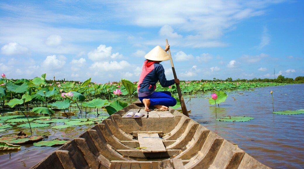 Beautiful landscaping of Vietnamese village, woman rowing the row boat to pick lotus flower on waterlilly pond, large aquatic flora lake in green leaf, pink flower make amazing scene at Mekong Delta