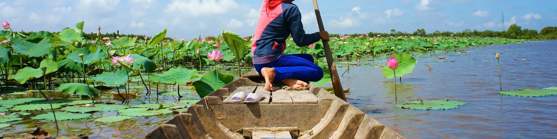 Beautiful landscaping of Vietnamese village, woman rowing the row boat to pick lotus flower on waterlilly pond, large aquatic flora lake in green leaf, pink flower make amazing scene at Mekong Delta