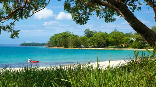 Shoalhaven featuring general coastal views