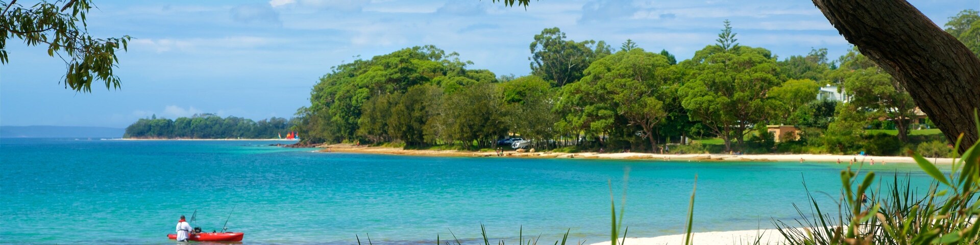 Shoalhaven featuring general coastal views