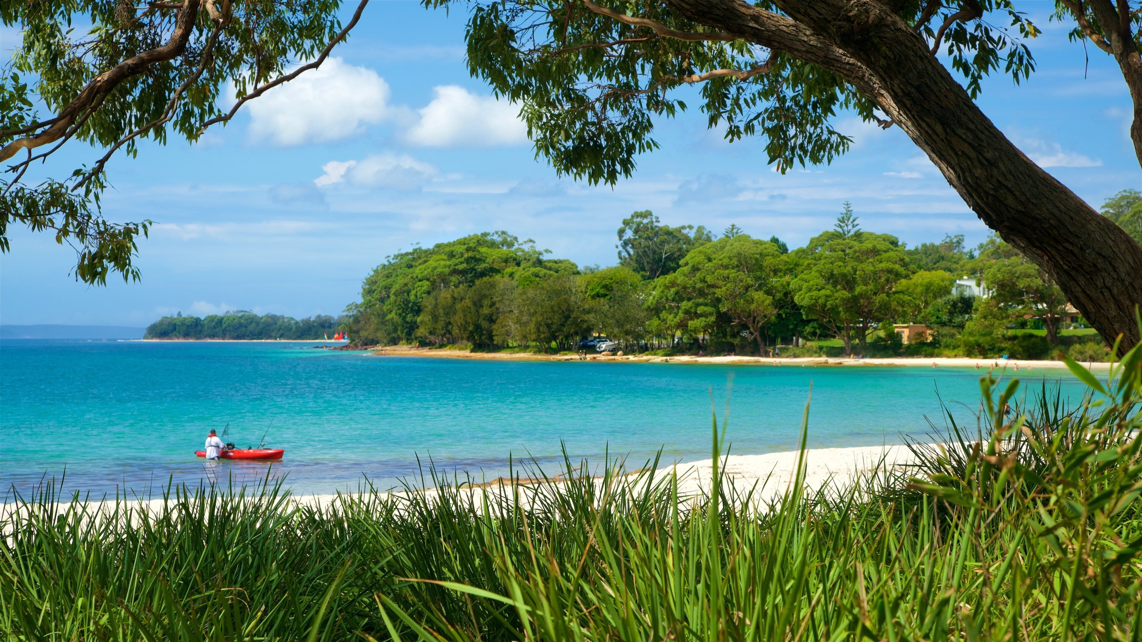 A beach with clear turquoise water, a red kayak, and lush greenery.
