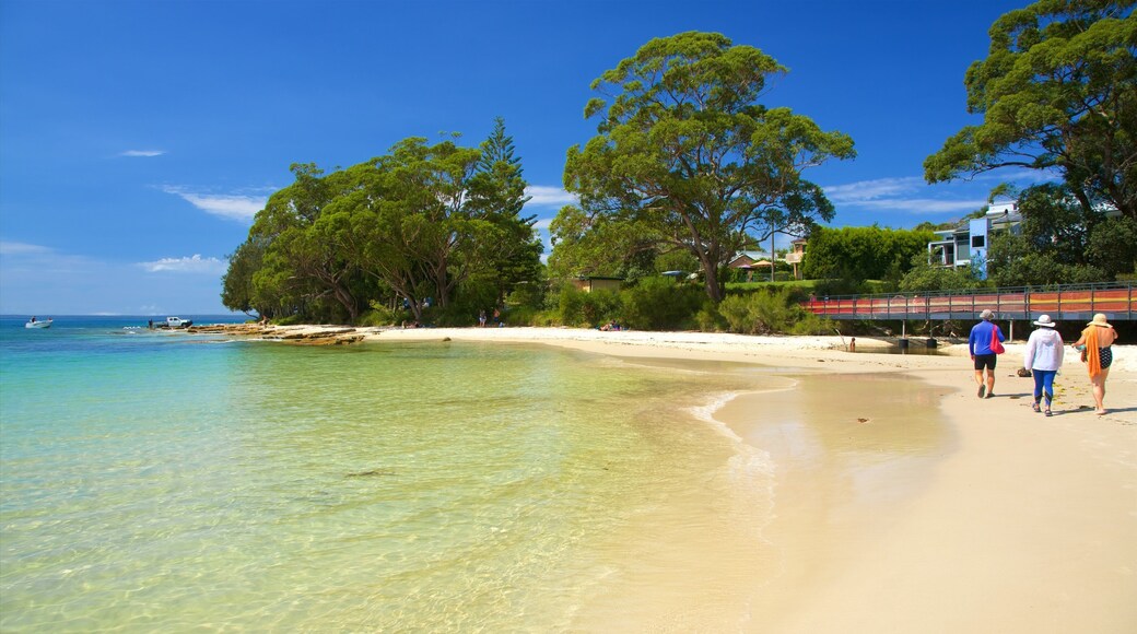 Shoalhaven showing general coastal views and a beach as well as a small group of people
