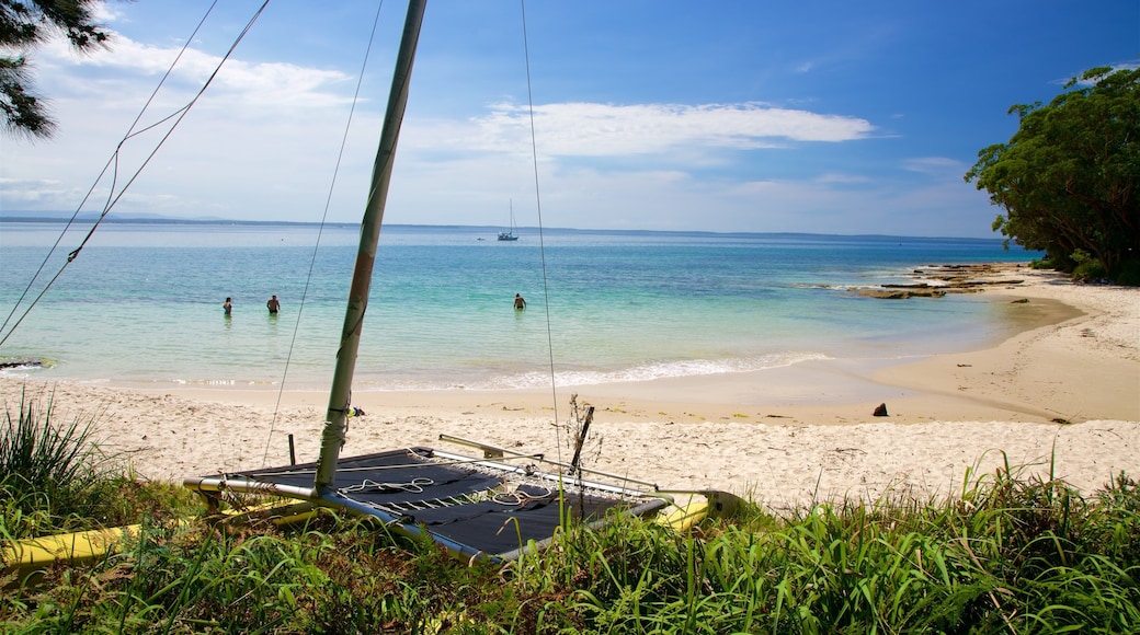 Shoalhaven featuring general coastal views and a beach