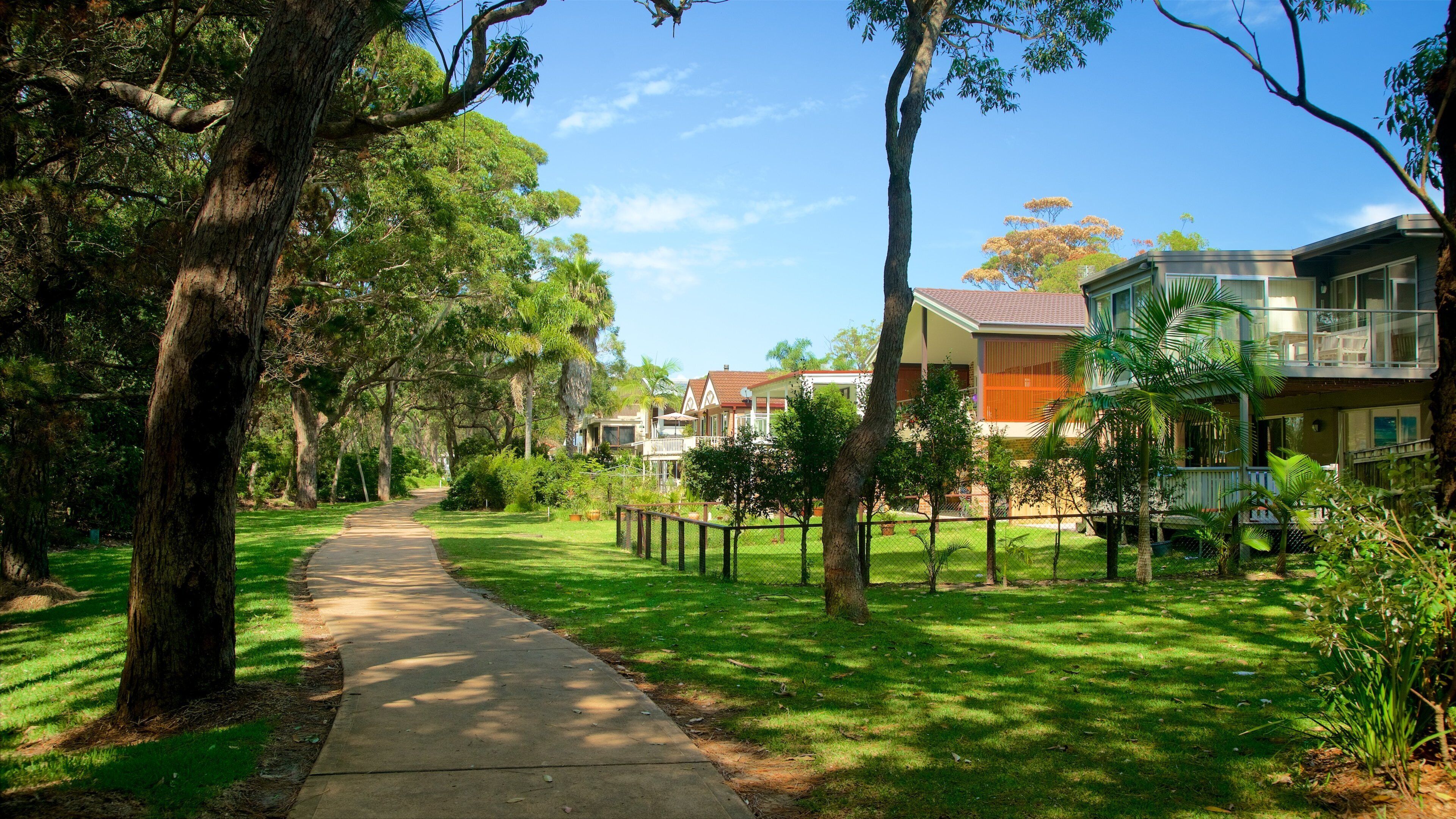 Shoalhaven which includes a garden