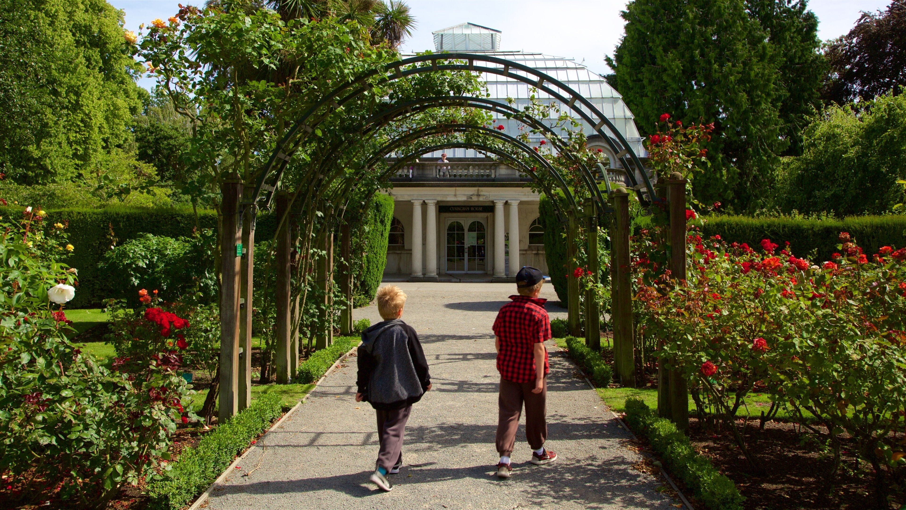 Mount Olympus Ski Field