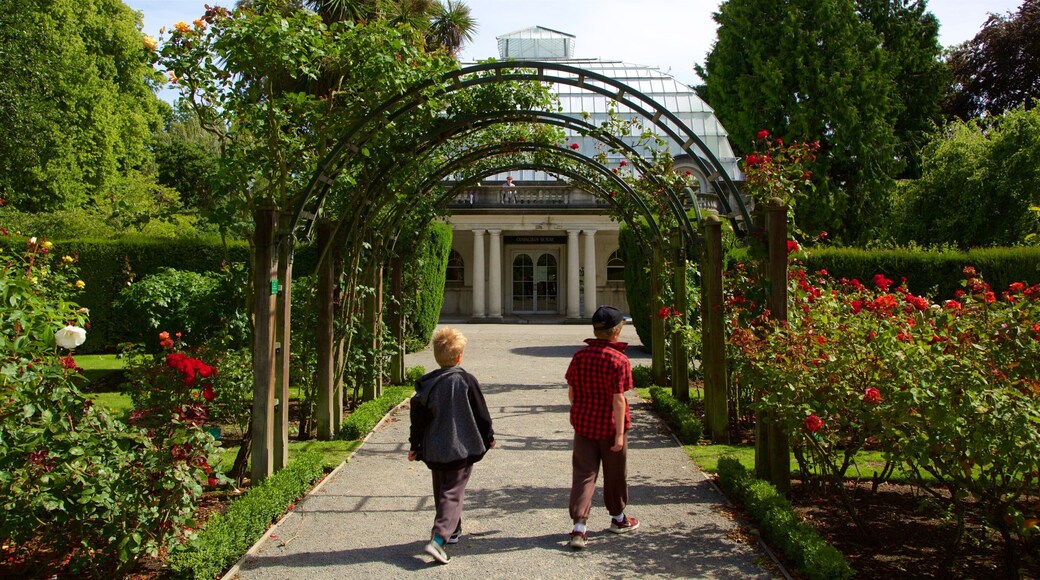 Mount Olympus Ski Field