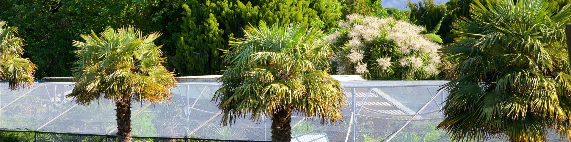 Stratford Mountain Club