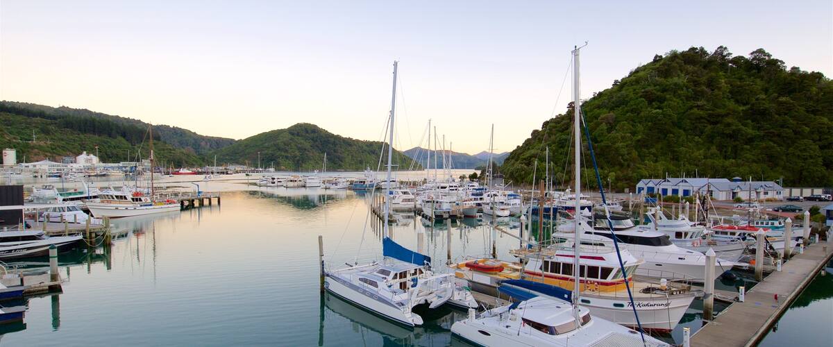 A marina with various boats docked, surrounded by hills and a clear sky.
