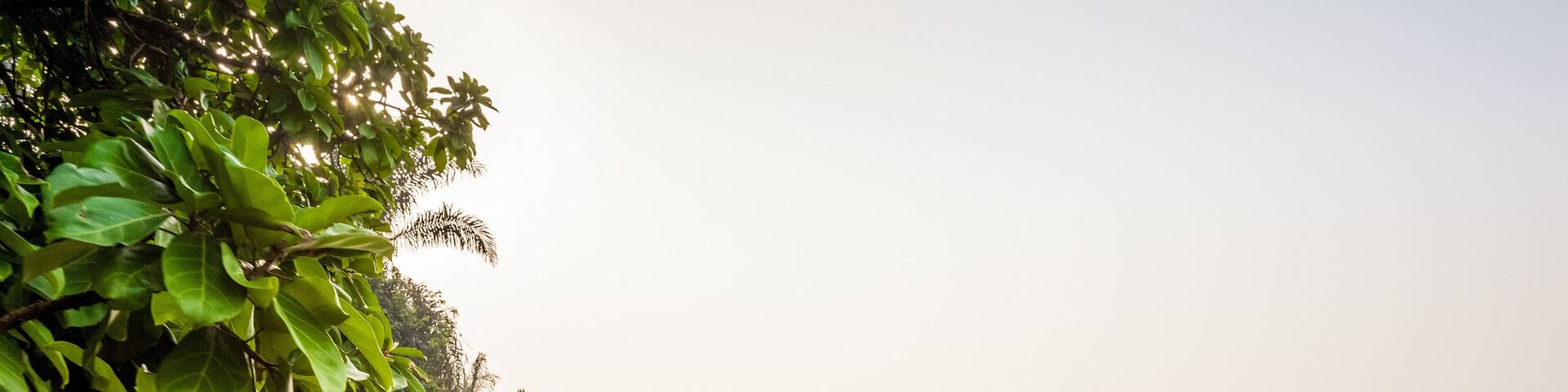 Canoe ride in Africa