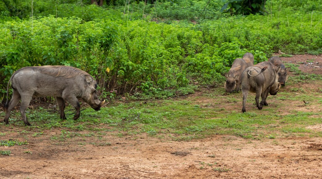 Distrito de Sawa-Tuna-Kalba