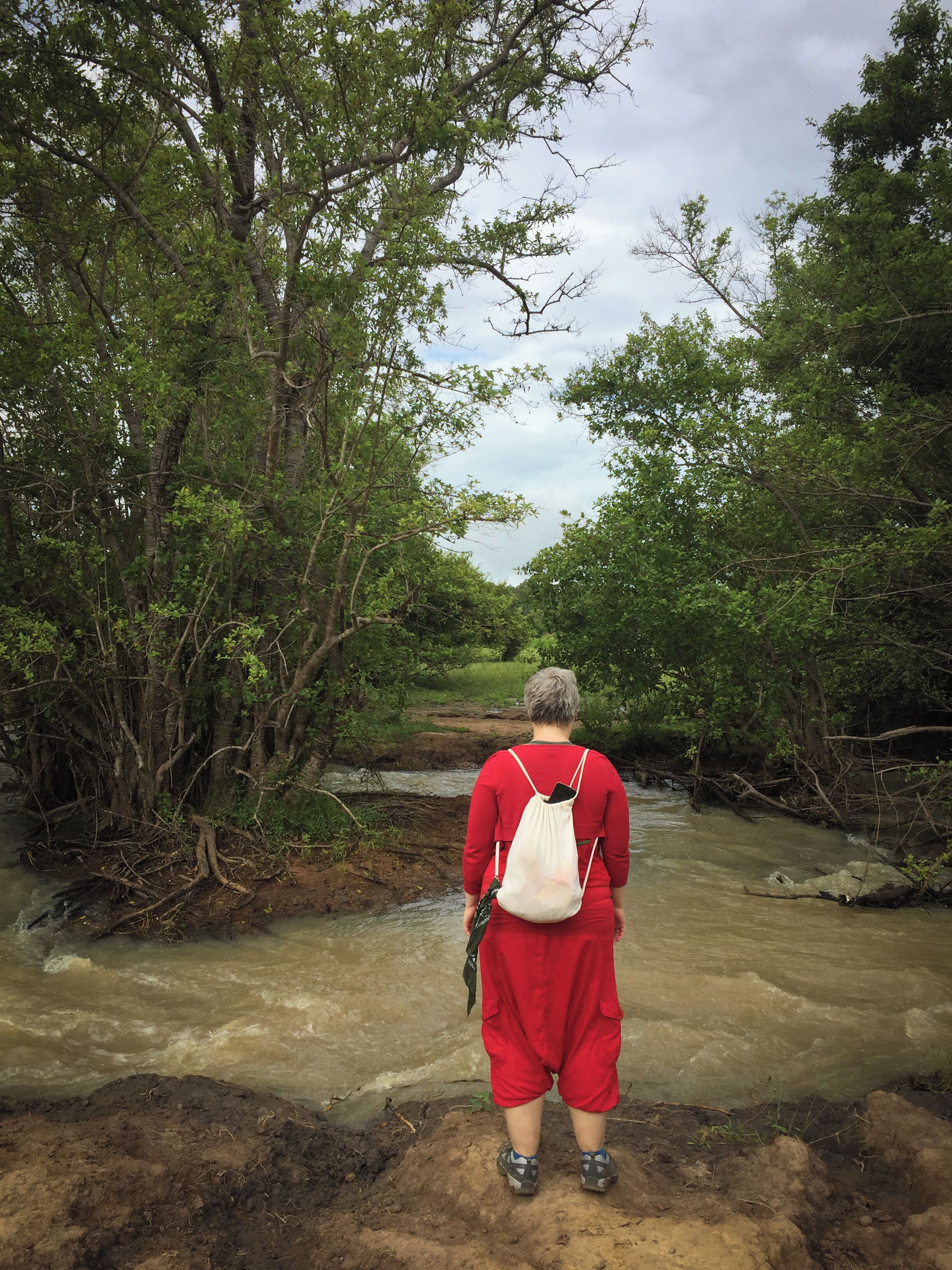Who wants to go on a walking safari?
Mole National Park is one of the few parks in the world where you can do that, accompanied by a ranger, of course.
While they are more spectacular during the dry season (when animals gather around waterholes), they are an impressive experience during the wet season, too. 
#Trovember