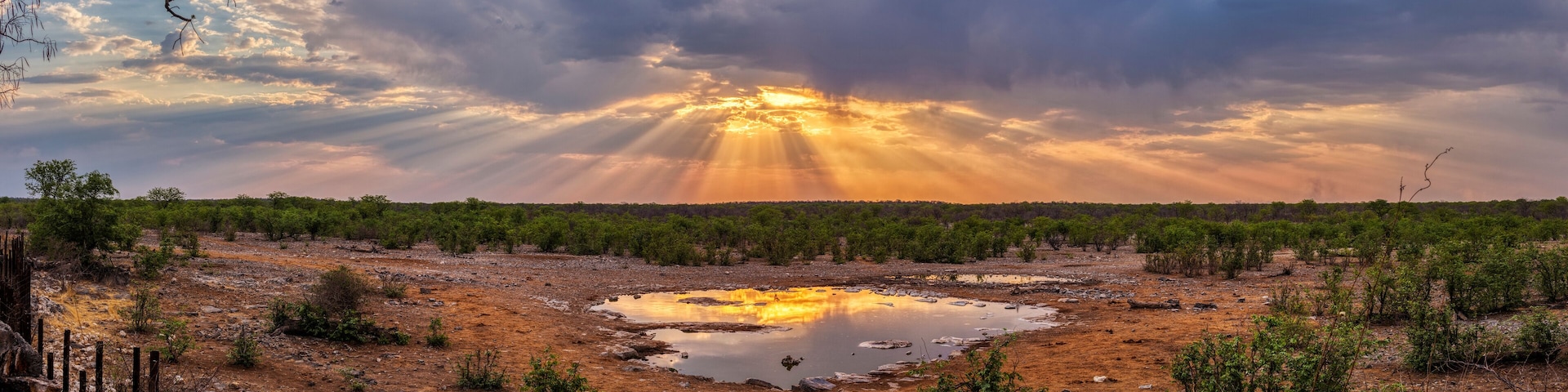 Eine Landschaft mit einem schimmernden Gewässer, umgeben von spärlicher Vegetation und einem Wald im Hintergrund unter einem bewölkten Himmel.