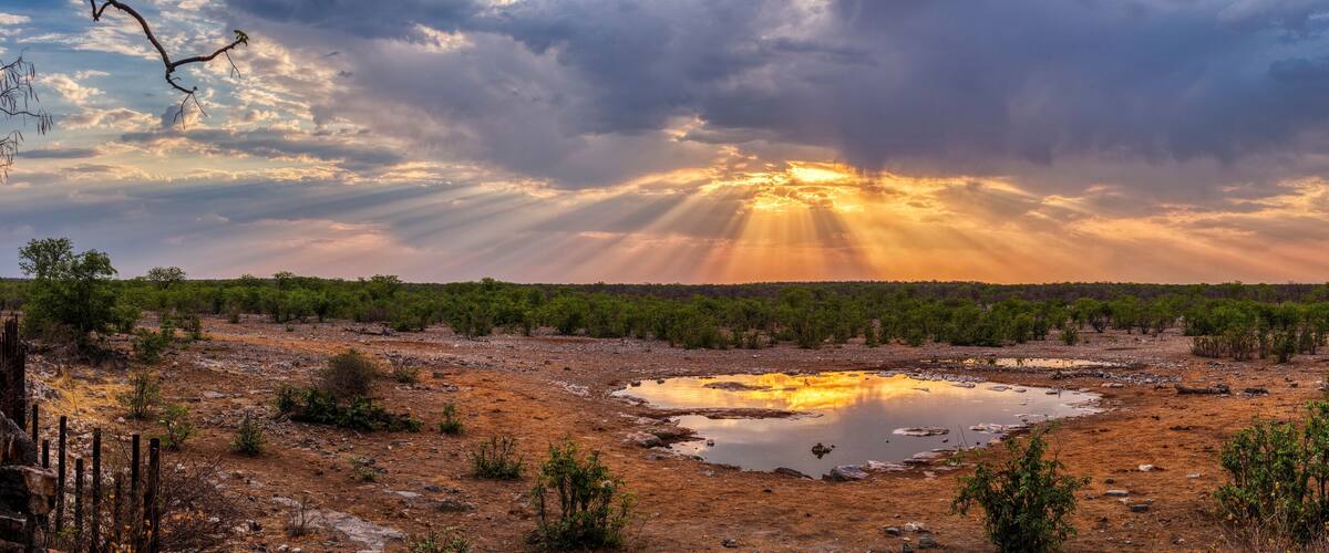 A landscape with a reflective water body surrounded by sparse vegetation and a forest in the background under a cloudy sky.