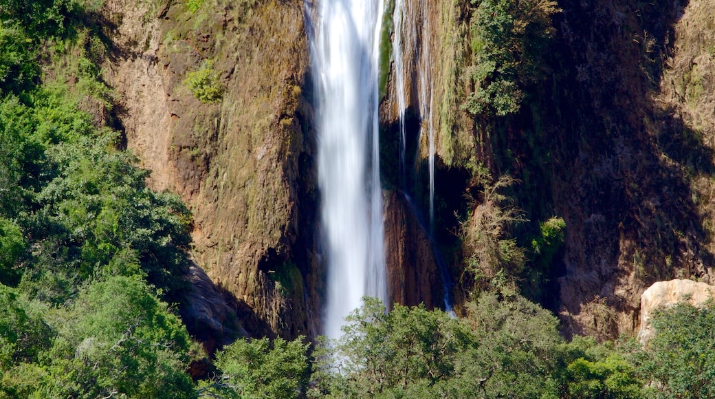 Mpumalanga showing a waterfall