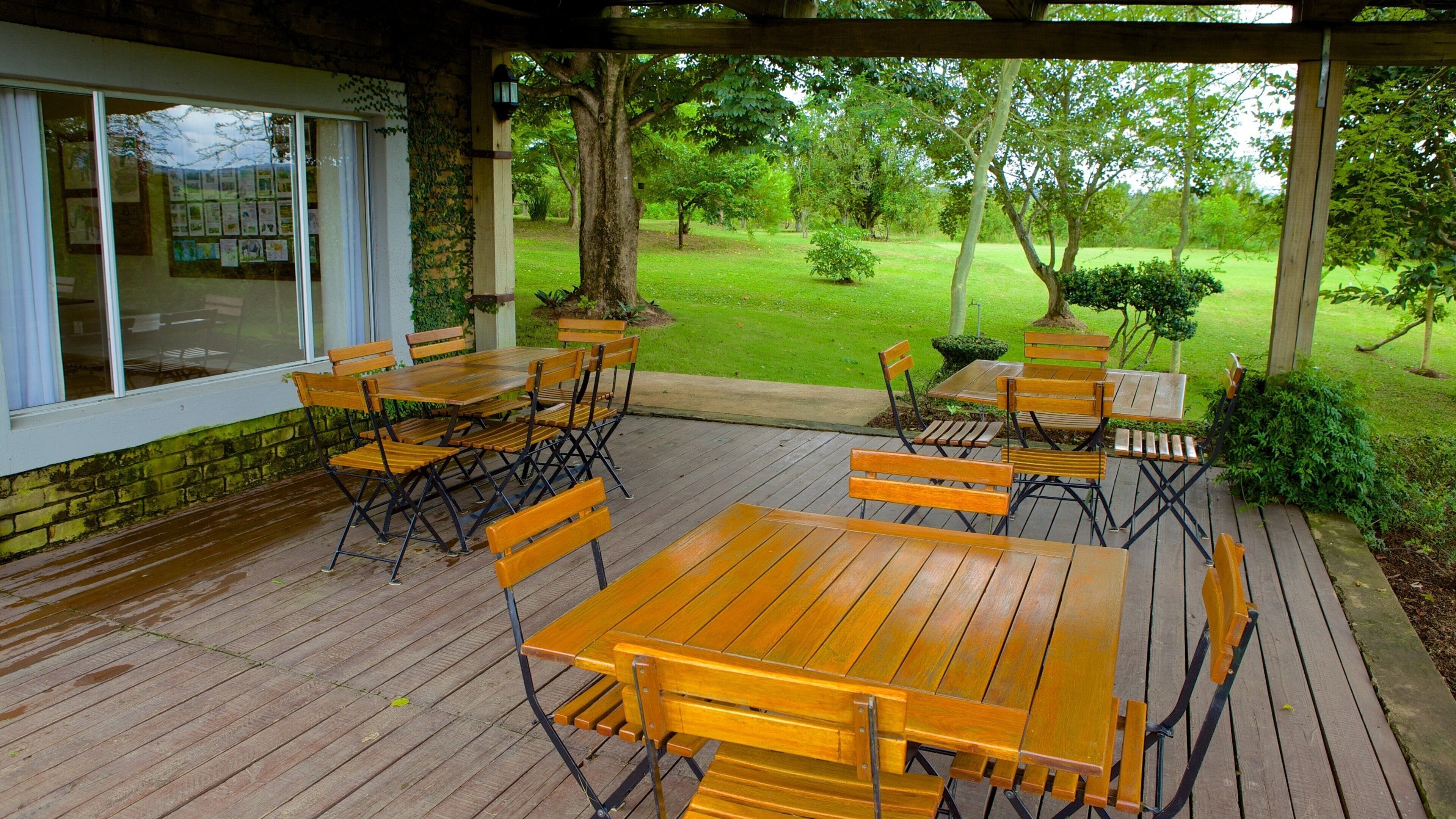 Mpumalanga featuring a garden