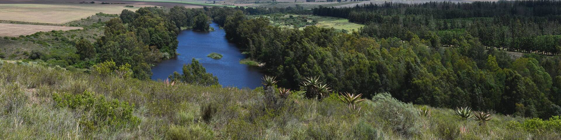 Landscape near route 62 in South Africa
