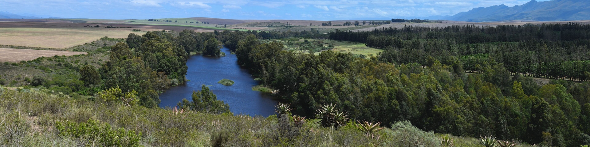 Landscape near route 62 in South Africa
