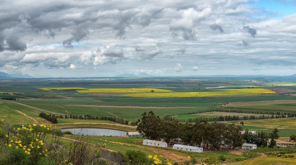 Panoramic farm landscape seen from the Piekenierskloof Pass