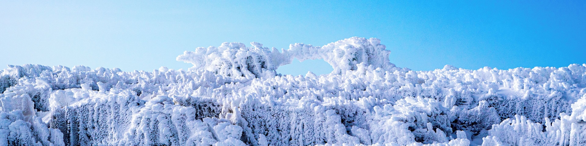 If you are hiking Mt. Kilimanjaro and you have still some energy left after reaching the summit, ask your guide if he can show you the glacier fields. It is between Uhuru Peak and Stella Point and only a few minutes to walk.