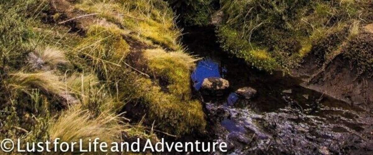 Creek crossing on Mt Kilimanjaro.