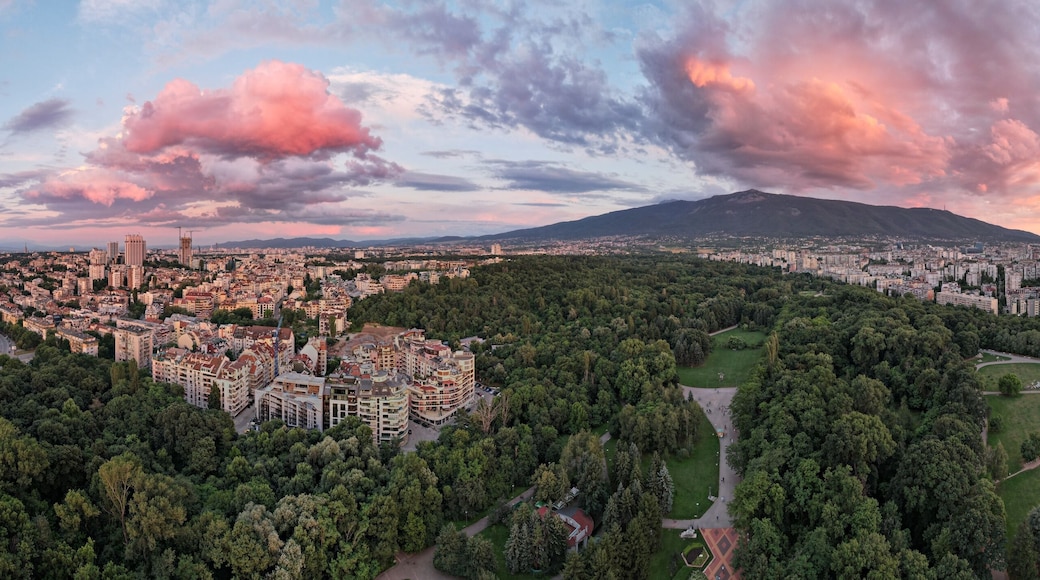 A cityscape with a mountain in the background and a park in the foreground.