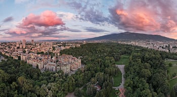 Paisatge urbà amb una muntanya al fons i un parc al primer pla.