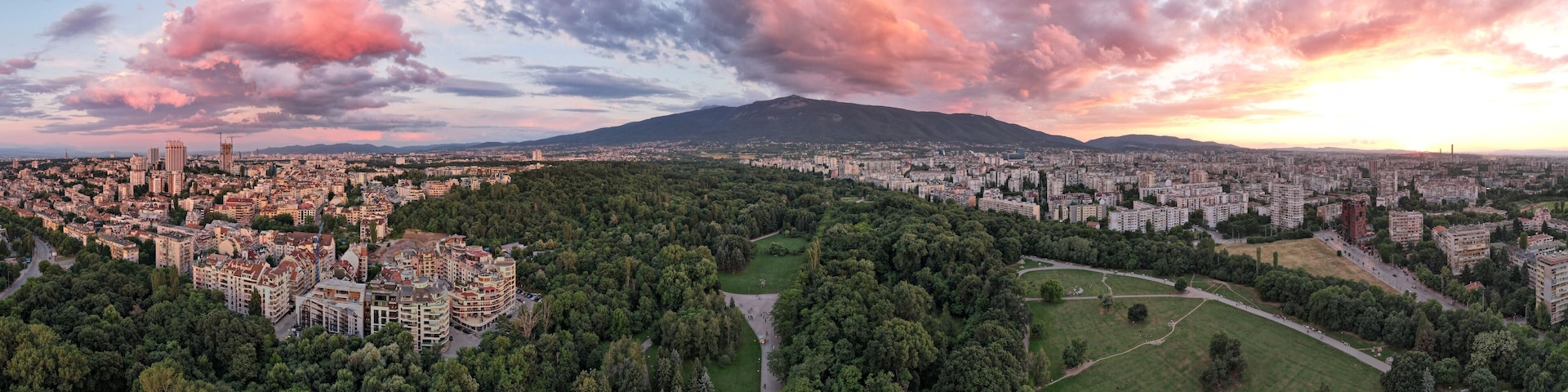 A cityscape with a mountain in the background and a park in the foreground.