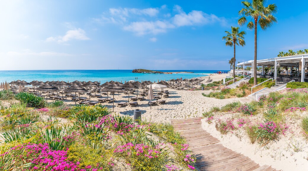 Ayia Napa bysentrum