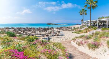 Discover the pristine Nissi Beach in Cyprus, a paradise with white sands and turquoise waters, perfect for relaxation, water sports, and family holidays