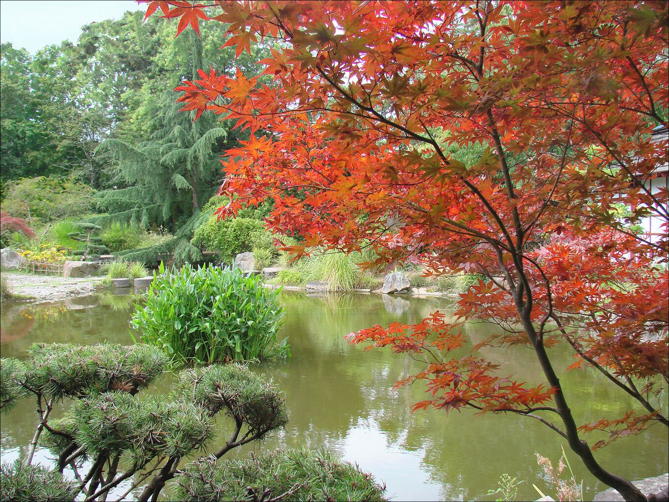 Photo Annie Dalbéra Article de Wikipedia sur l'île de Versailles fr.wikipedia.org/wiki/%C3%8Ele_de_Versailles Les jardins de Nantes www.jardins.nantes.fr/