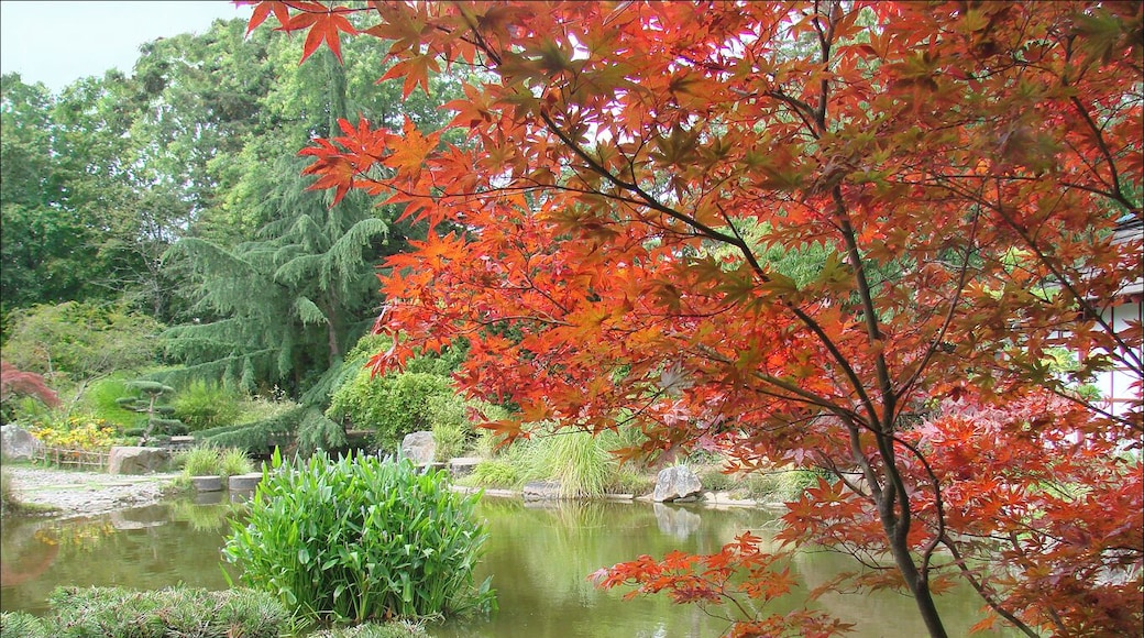 Photo Annie Dalbéra Article de Wikipedia sur l'ßle de Versailles fr.wikipedia.org/wiki/%C3%8Ele_de_Versailles Les jardins de Nantes www.jardins.nantes.fr/