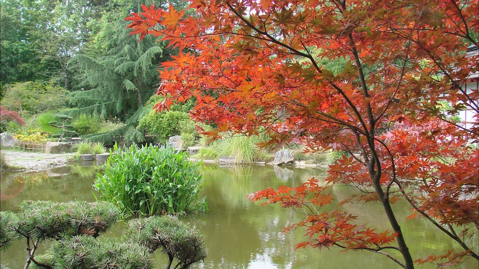 Photo Annie Dalbéra Article de Wikipedia sur l'ßle de Versailles fr.wikipedia.org/wiki/%C3%8Ele_de_Versailles Les jardins de Nantes www.jardins.nantes.fr/