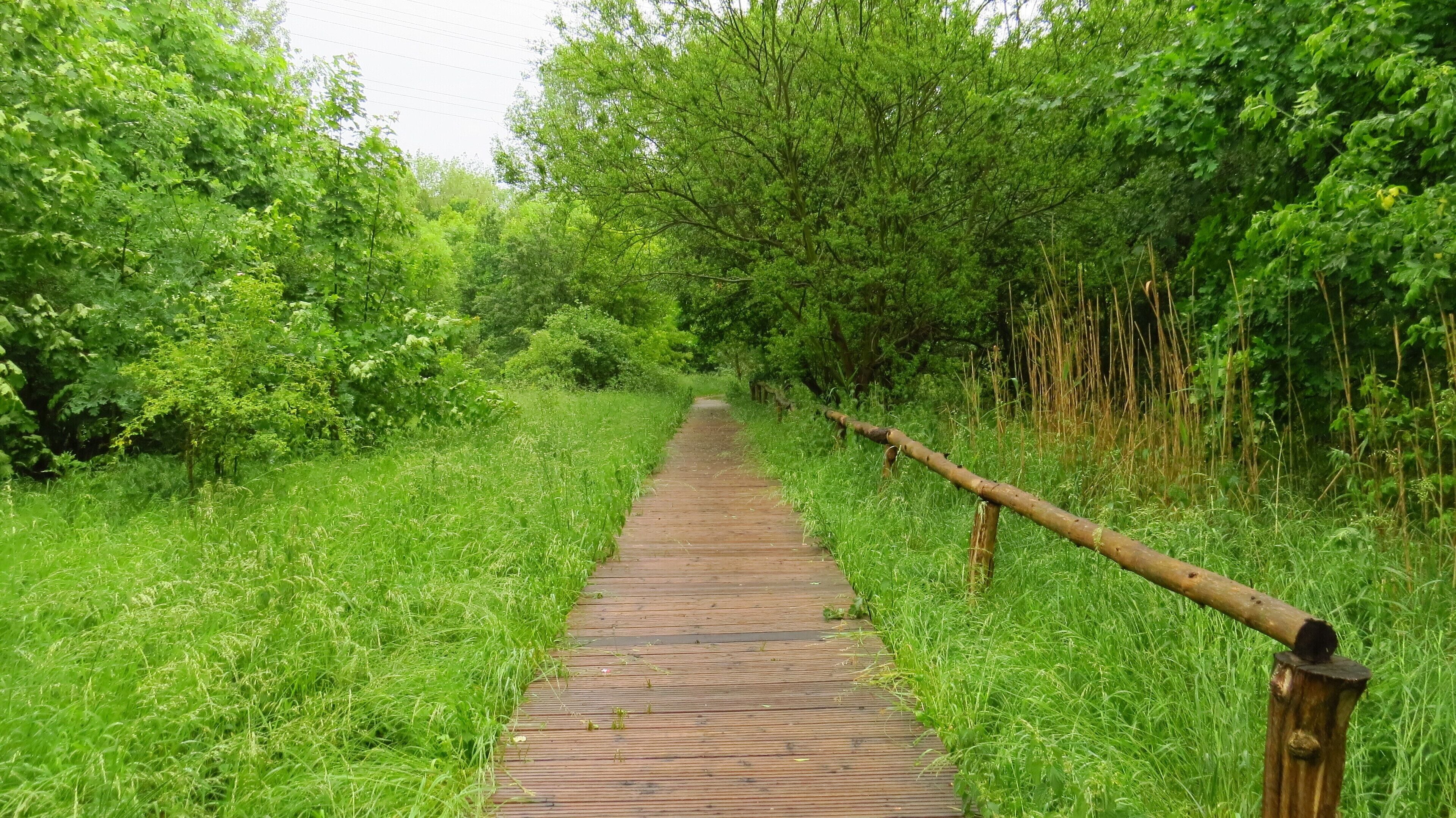 Dies ist einer der Wege, die durch das Naturschutz gebiet führen.