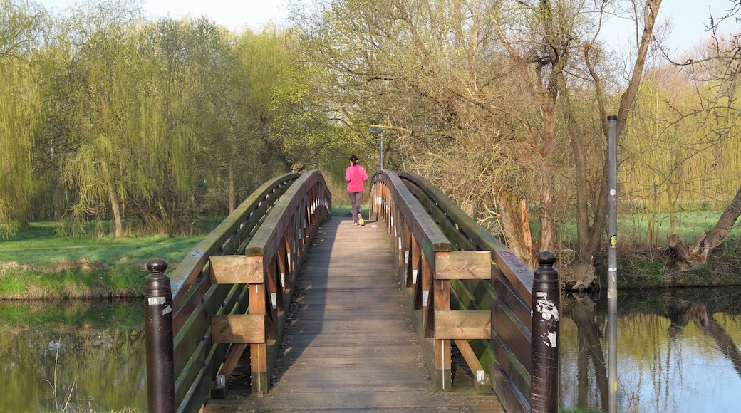 Braunschweig: die Fußgängerbrücke, die auf Höhe Biberweg über die Oker führt und Ölper mit und dem Schwarzen Berg verbindet. Die Holzkonstruktion ist teilweise durch einen Pilz angegriffen. Es wurden deshalb tragende Holzfachwerke aufgebaut. Aus statischen Gründen war zugleich die Reduzierung der Lauffläche auf eineinhalb Meter erforderlich.