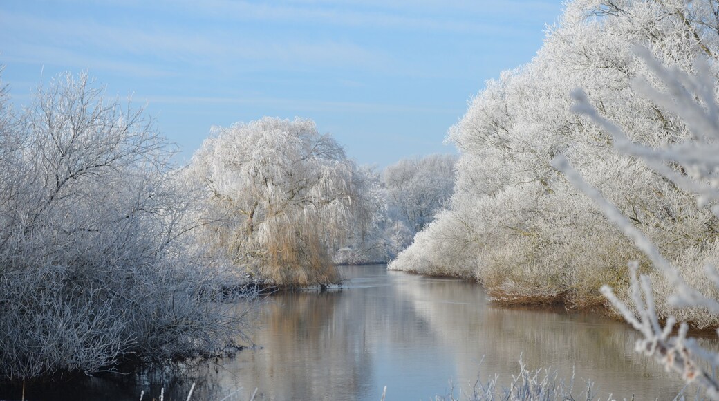 "Borgfelder Wümmewiesen" nature reserve in Bremen (Germany) – The river "Wümme" in winter a view close to the "Hollerdeichschlot" near Borgfeld in direction west in January 2016