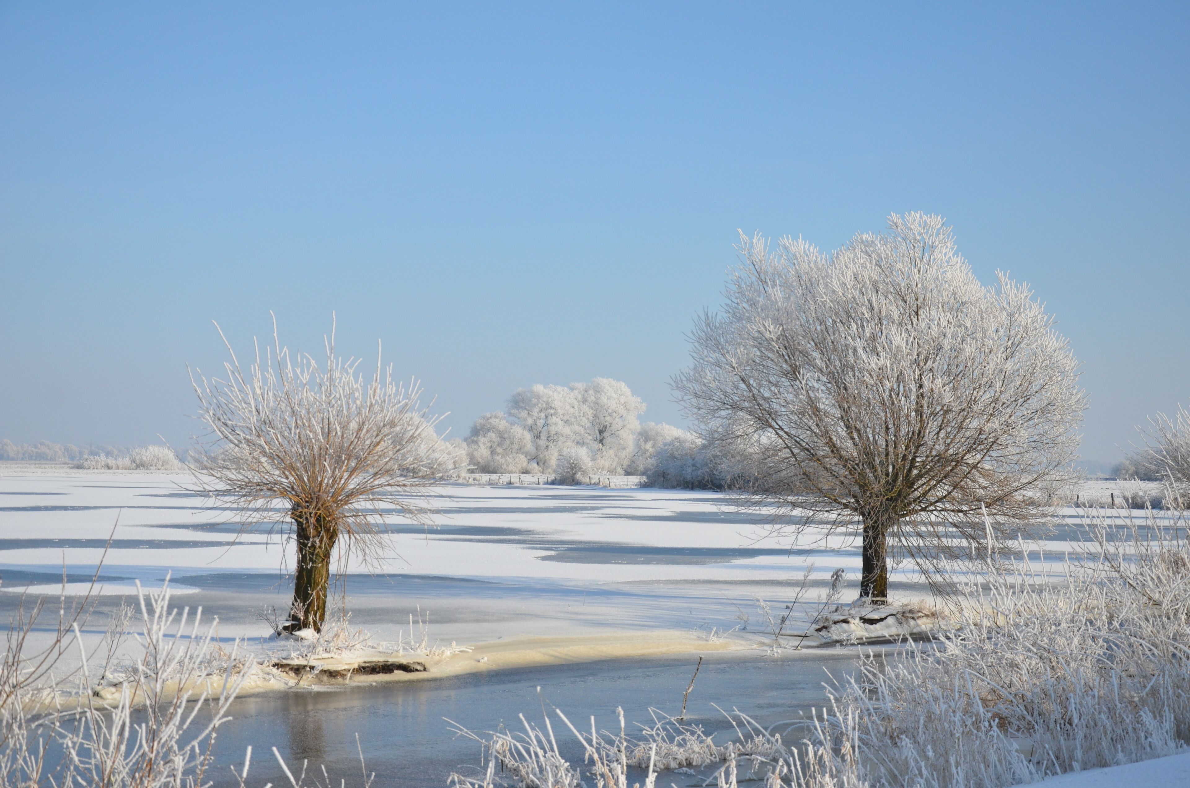 "Borgfelder Wümmewiesen" nature reserve in Bremen (Germany) – The meadows "Wümmewiesen" in winter, a view from "Am Hollerdeich" near Borgfeld in direction north-northeast in January 2016