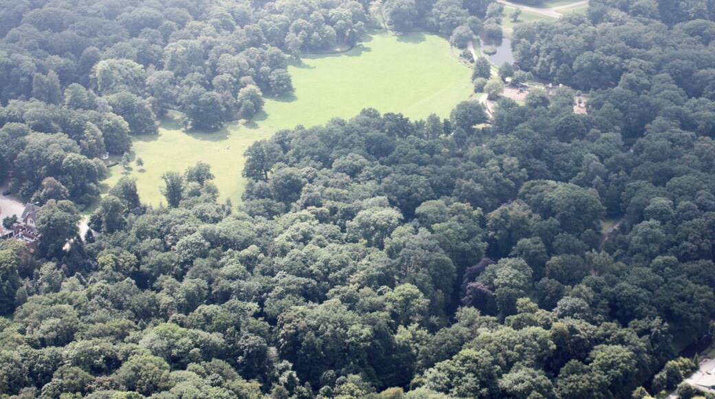 Lufbilder Bremen: Häfen, Waterfront, Lindenhof, Walle, Osterfeuerberg, Utbremen, Bahnhofsvorstadt, Bürerweide, Barkhof, Bürgerpark, Weidedamm, Müllverbrennungsanlage (identische Bildbeschreibung für File:2012-08-08-fotoflug-bremen zweiter flug 1006.JPG bis File:2012-08-08-fotoflug-bremen zweiter flug 1141.JPG; alle mit GPS-Koordinaten