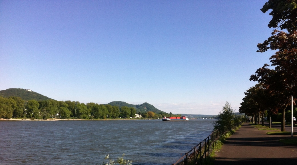 fietsen langs de Rijn