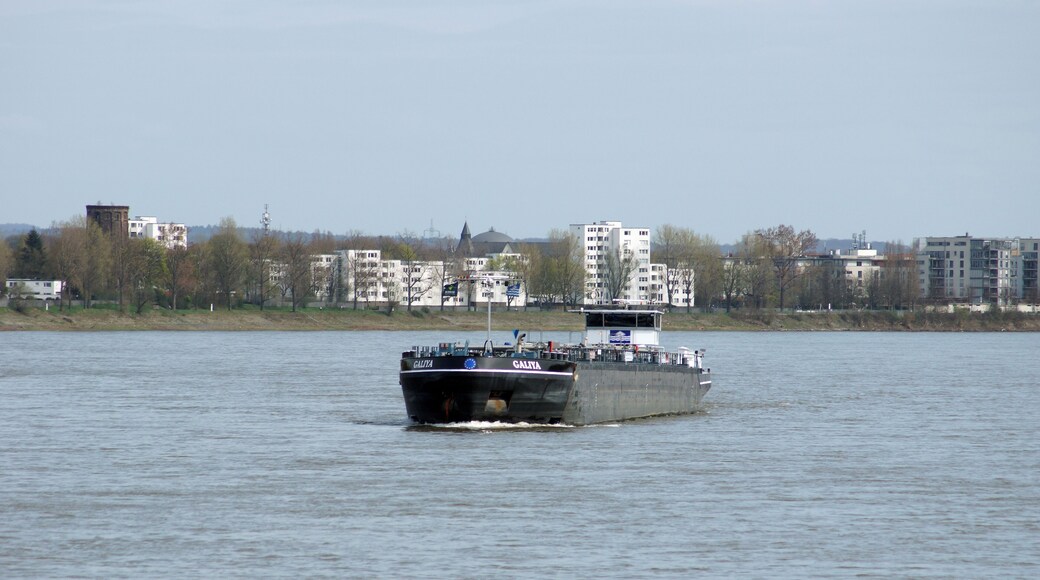 Tank barge Galiya in Cologne.