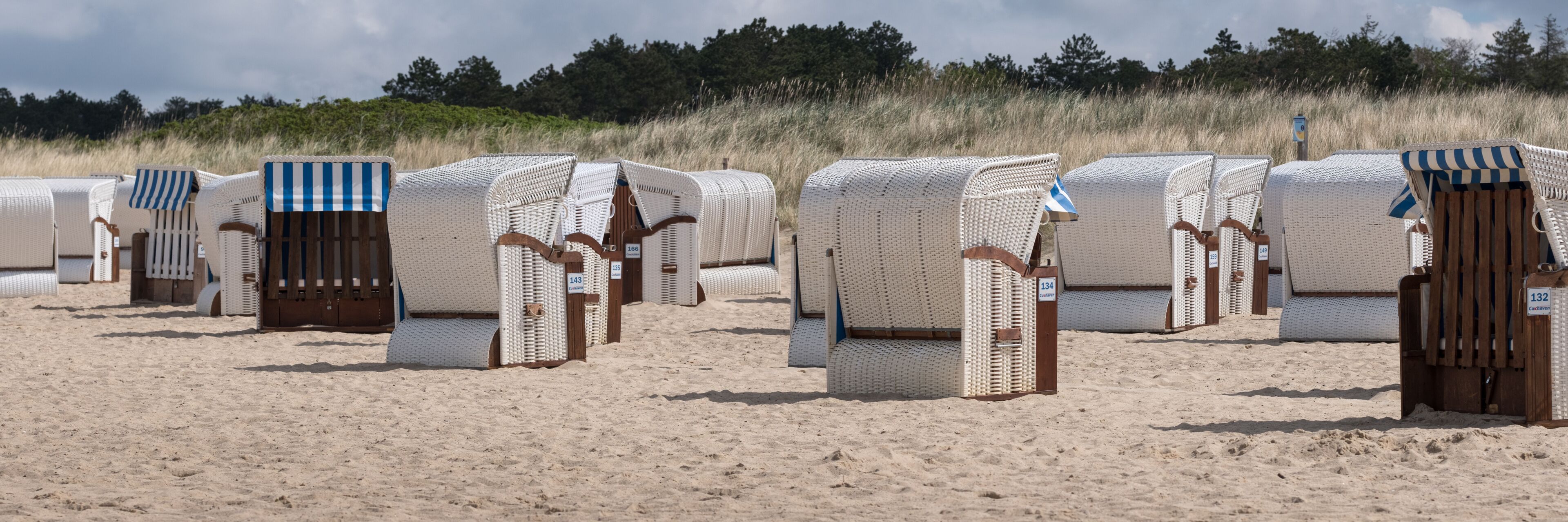 Rows of beach chairs with numbers on the backrests, set on a sandy beach with tall grass in the background.