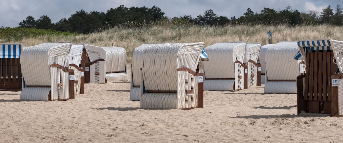 Rows of beach chairs with numbers on the backrests, set on a sandy beach with tall grass in the background.