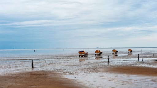 Pferdekutschen mit Touristen fahren ins Wattenmeer bei Cuxhaven-Sahlenburg,Niedersachsen, links hinten Insel Neuwerk, Deutschland