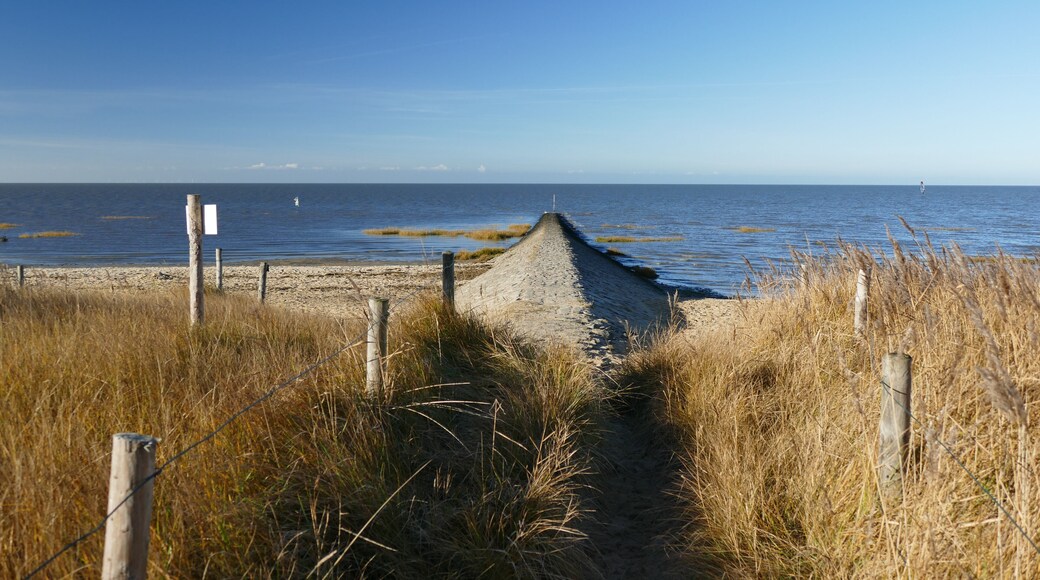 The beach at the north sea in Cuxhaven Sahlenburg, Germany. , Shutterstock ID 1240818976, Purchase Order: -