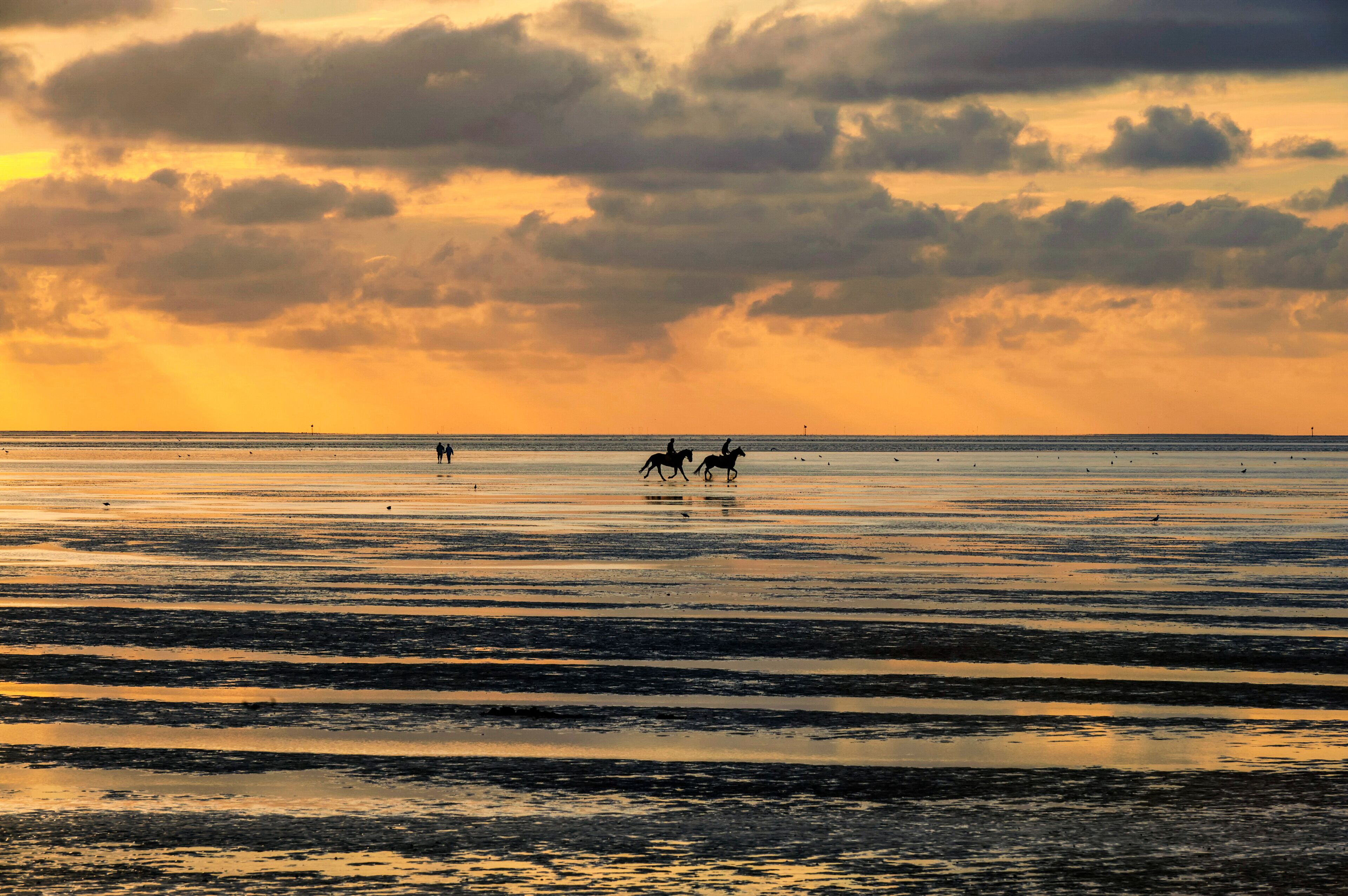 GERMANY, LOWER SAXONY, SAHLENBURG,  Riders and walkers in the wadden sea near Sahlenburg during sunset at low tidetide