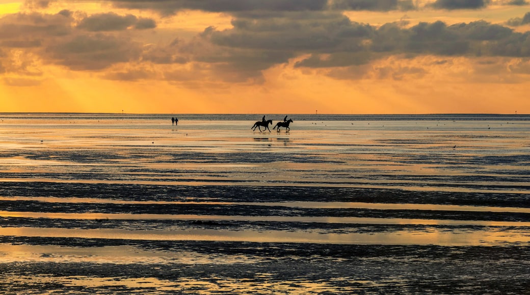 GERMANY, LOWER SAXONY, SAHLENBURG, Riders and walkers in the wadden sea near Sahlenburg during sunset at low tidetide