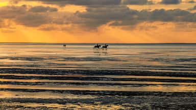 Una playa al atardecer con caballos trotando por la orilla.