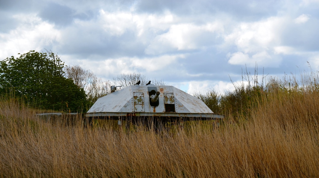 Geschütz am Fort Kugelbake, Cuxhaven