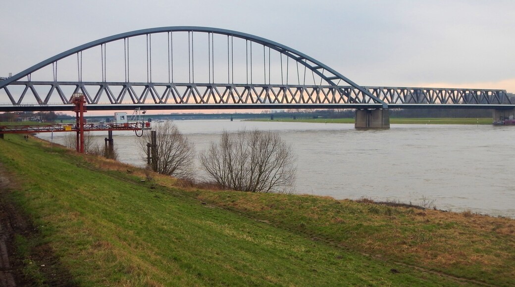 Der Rhein beim Hafen in Düsseldorf