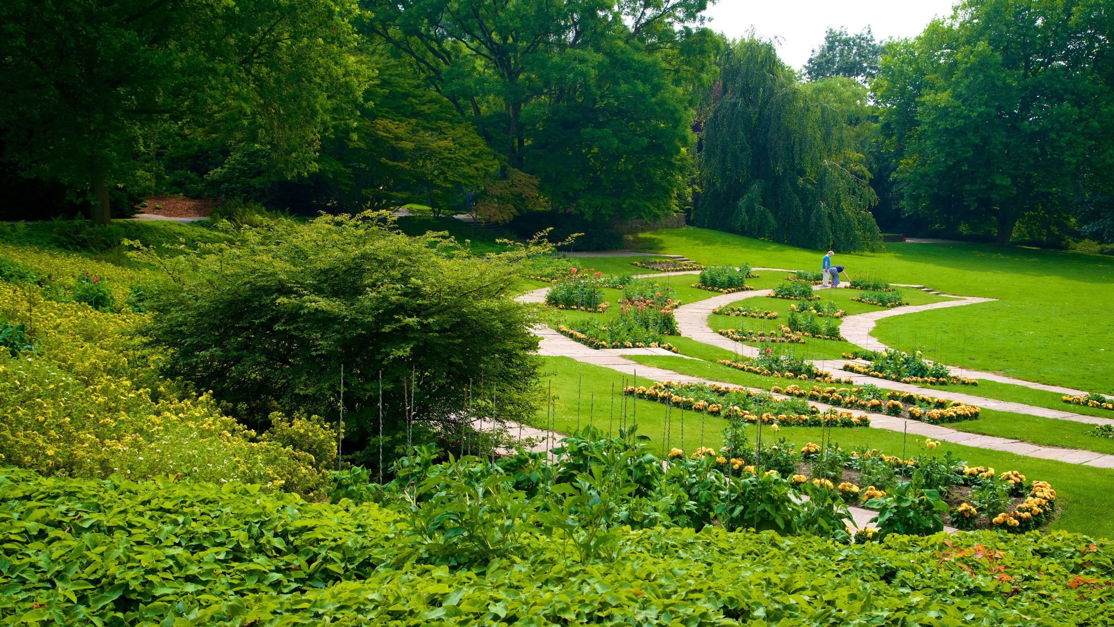 St Maarten and St Martin showing a park and flowers