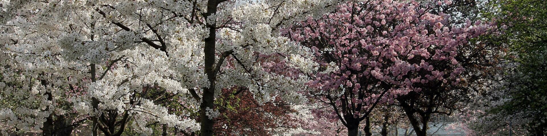 FrĂŒhling Uni Göttingen